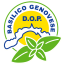 Basilico Genovese DOP